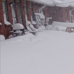 Meet your Posher, Lashana